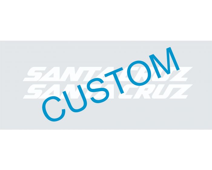 Santa Cruz V10 2024 Decals - Downtube ONLY