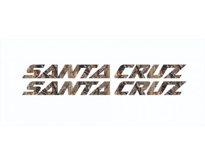 Santa Cruz V10 2024 Decals - Downtube ONLY
