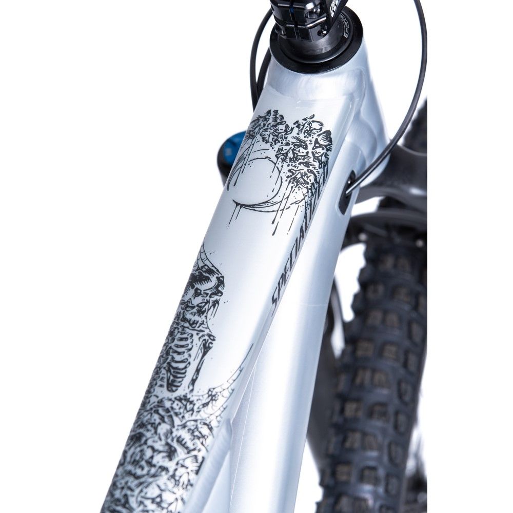 FRAME ART Skulls By Tom Bunney - Main Image