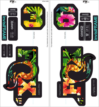 Fox 36 Factory E Bike 2025 decals