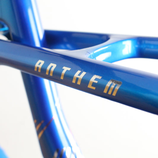 Giant Anthem Advanced SL 2025/26 | Frame Protection Kit