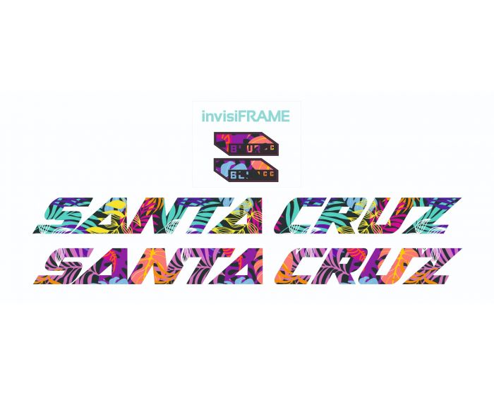 Santa Cruz Blur CC 2021 Decals