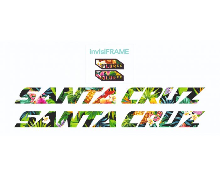 Santa Cruz Blur CC 2021 Decals