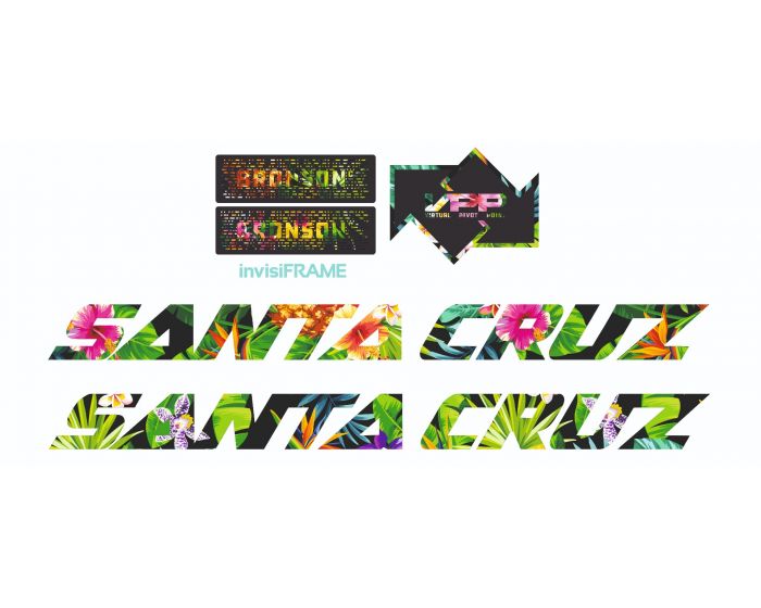 Santa Cruz Bronson C V4.1 2023 Decals