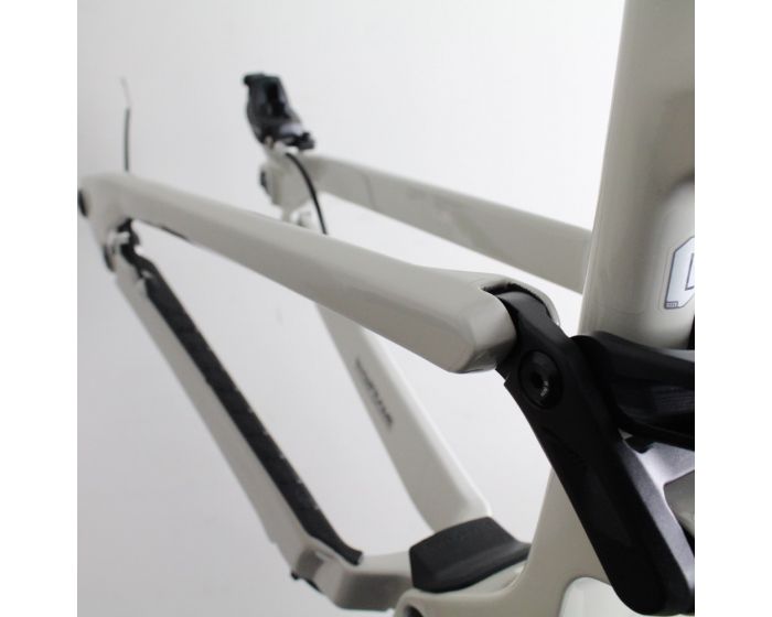 Cannondale Habit LT Carbon 2023/24 Frame Protection