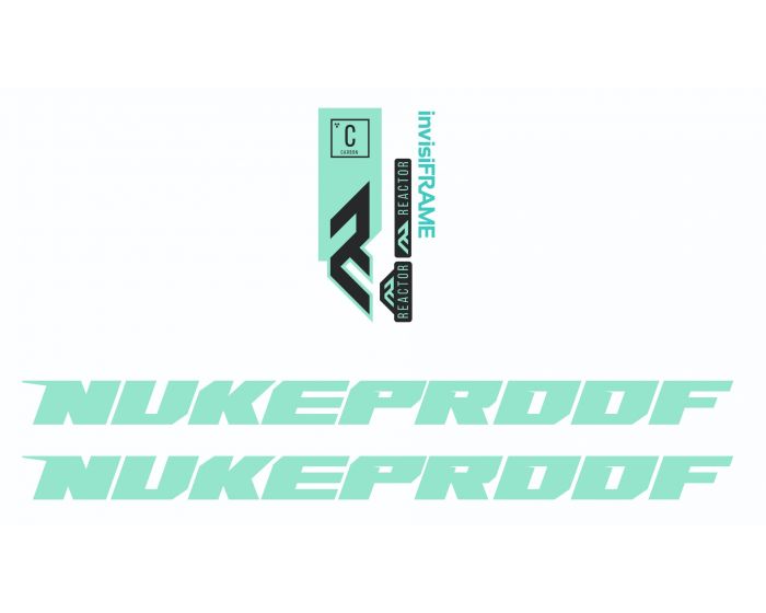 Nukeproof Reactor Carbon 2021 Decals