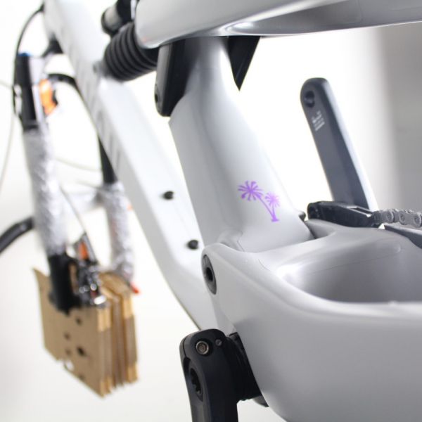 Canyon Spectral Mullet CF 2022/23 | Frame Protection Kit
