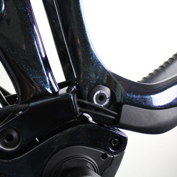 Giant Trance X Advanced E+ 2022 | Frame Protection Kit