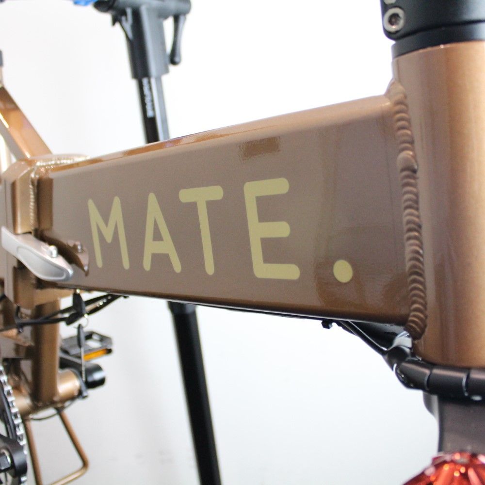 Mate E-Bike 2022 | Frame Protection Kit