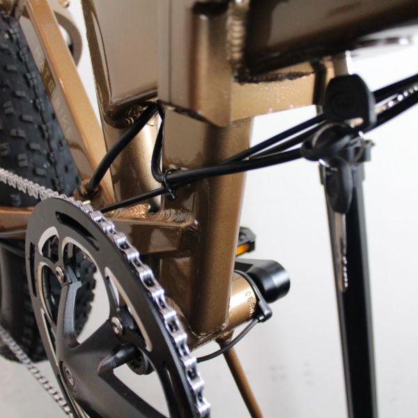 Mate E-Bike 2022 | Frame Protection Kit