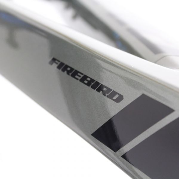 Pivot Firebird 2022/23 | Frame Protection Kit